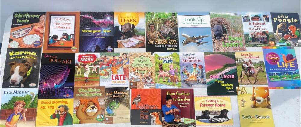 Fountas & Pinnell Guided Reading Lot Of 28 Books
